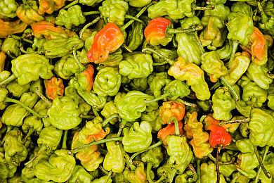 工画堂新作《发明工坊Legacy＆ Restore》 明年1月19日发售